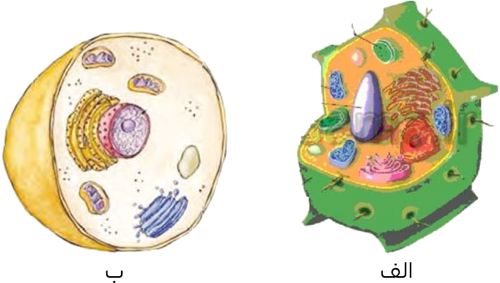سوال 14