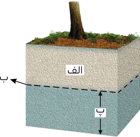 سوال 7